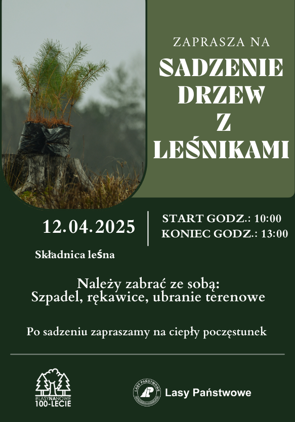 SADZENIE_DRZEW_Z_LEŚNIKAMI