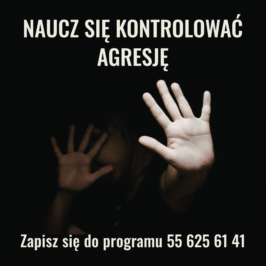agresja_2