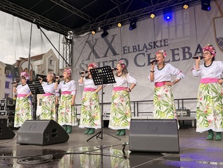 XX Elbląskie Święto Chleba 76