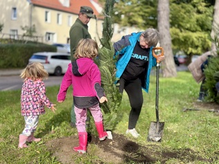 Wspólne sadzenie drzew przez mieszkańców w Parku Kajki 13