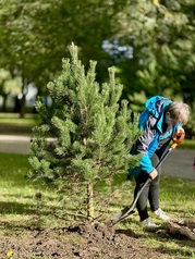 Wspólne sadzenie drzew przez mieszkańców w Parku Kajki 20