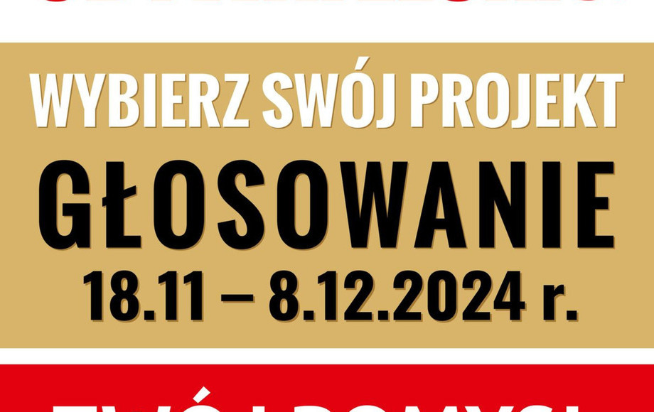 Zdjęcie do Budżet Obywatelski 2025. Trwa ponowne głosowanie