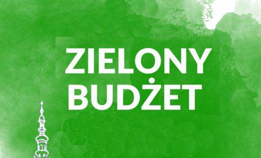 Zdjęcie do Wyniki IV edycji Zielonego Budżetu