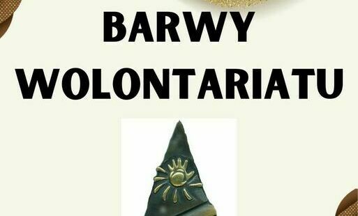 Zdjęcie do Rusza XXIII edycja "Barw Wolontariatu!