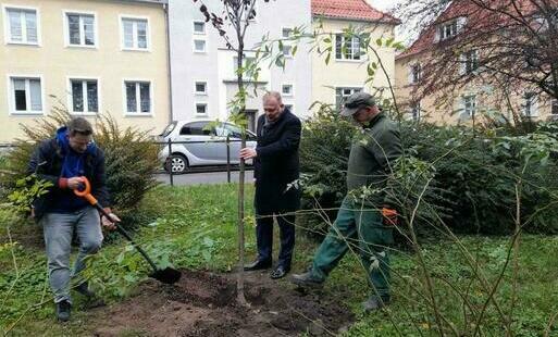 Zdjęcie do Park Kajki z nowymi nasadzeniami