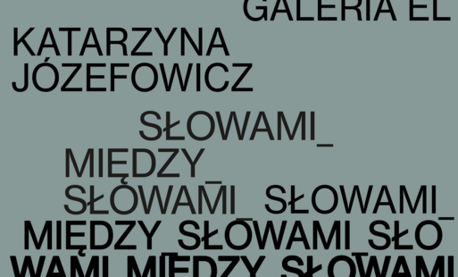Zdjęcie do Wernisaż wystawy Katarzyny Józefowicz SŁOWAMI_MIĘDZY_SŁOWAMI