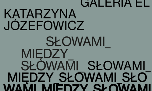 Zdjęcie do Wernisaż wystawy Katarzyny J&oacute;zefowicz SŁOWAMI_MIĘDZY_SŁOWAMI