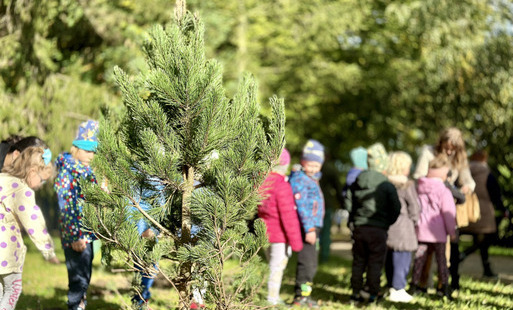 Zdjęcie do Wsp&oacute;lnie posadzili nowe drzewa w Parku Kajki 