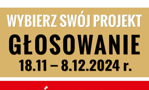 Zdjęcie do Budżet Obywatelski 2025. Trwa ponowne głosowanie