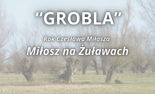 Zdjęcie do &quot;Grobla&quot;. Miłosz na Żuławach