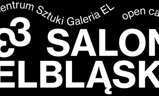 Zdjęcie do 33 Salon Elbląski &ndash; ogłaszamy nab&oacute;r!