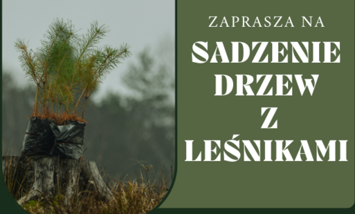 Zdjęcie do Sadzenie drzew z leśnikami