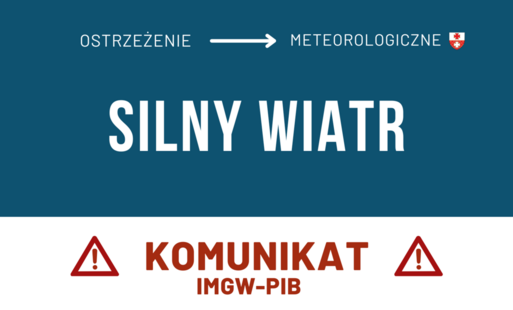 Zdjęcie do Ostrzeżenie przed silnym wiatrem!