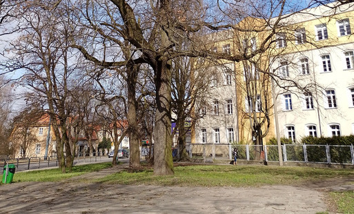Zdjęcie do U zbiegu ulic Browarnej i Robotniczej powstanie park kieszonkowy