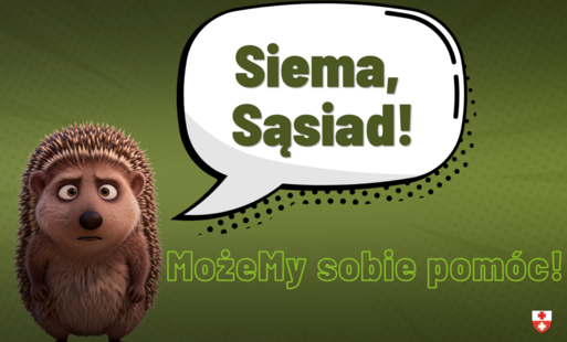 Zdjęcie do Jeż &ndash; Tw&oacute;j superSąsiad!