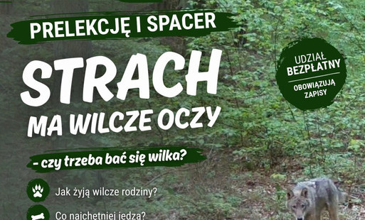 Zdjęcie do Strach ma wilcze oczy &ndash; czy trzeba bać się wilka? Prelekcja i spacer przyrodniczy