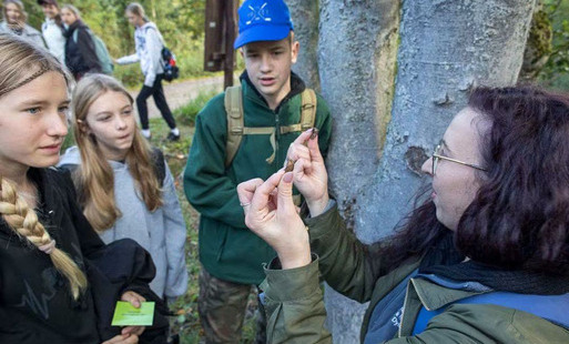 Zdjęcie do "Eko-Detektywi w działaniu! Wyjazdy edukacyjne SP nr 16 w Elblągu do Jerzwałdu