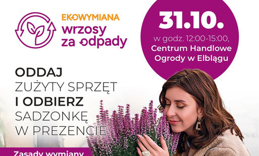 Zdjęcie do Wrzosy za elektrośmieci! Przyjdź, wymień i dowiedz się więcej o segregacji odpad&oacute;w!