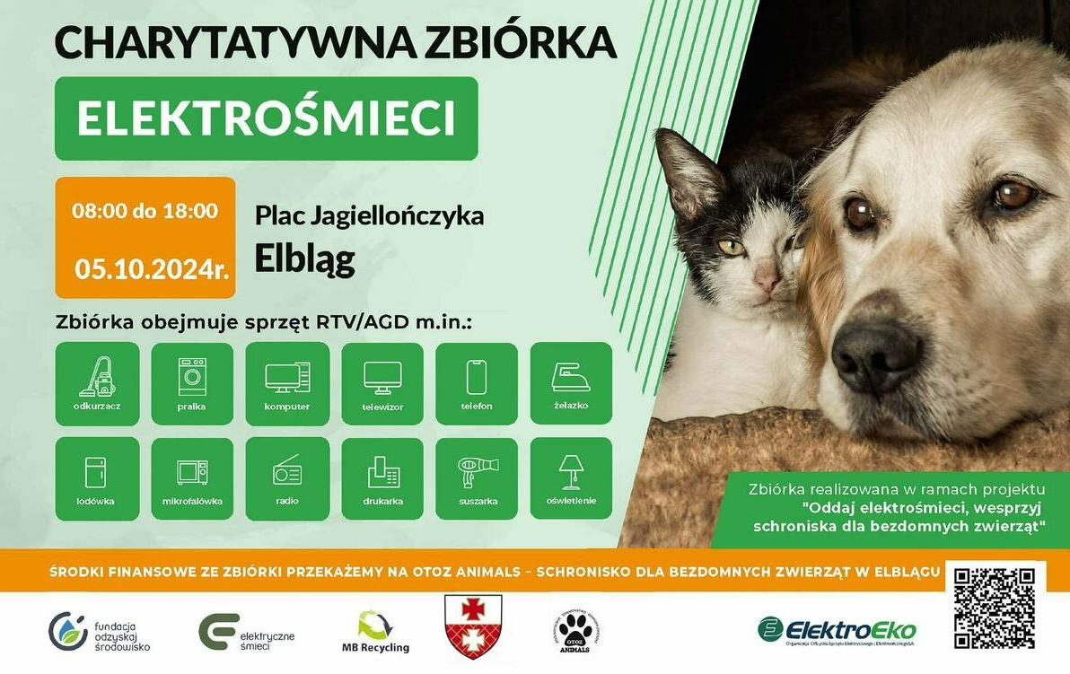 Charytatywna zbiórka elektrośmieci na rzecz Schroniska dla Bezdomnych Zwierząt w Elblągu