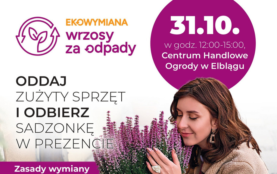 Akcja wymiany elektrośmieci na wrzosy w Elblągu